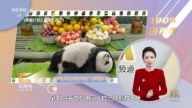 vk挠脚心美女